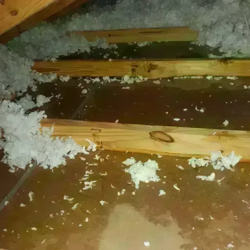 Attic Water Damage in Wesleyville, PA